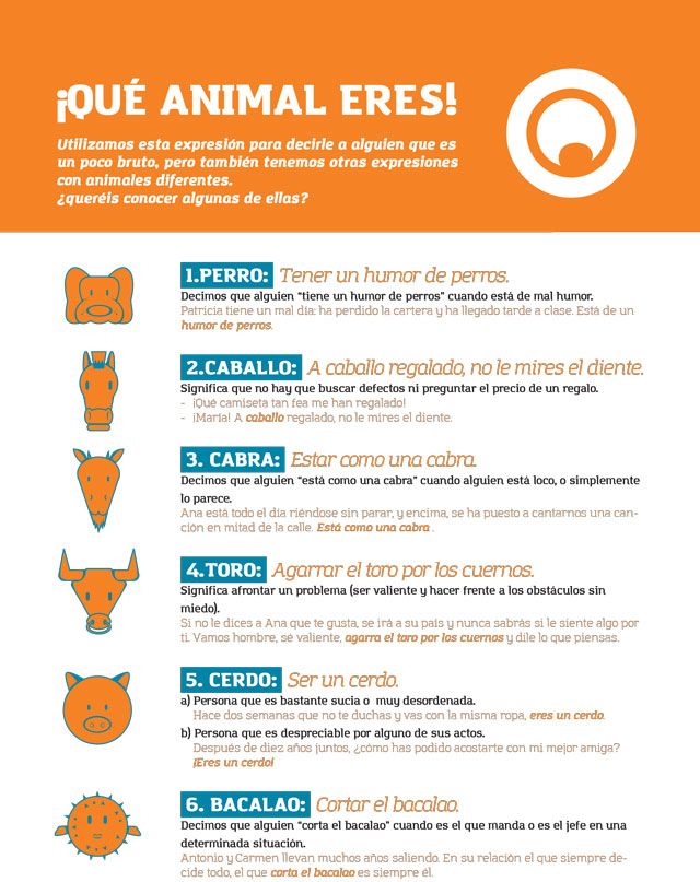 Expresiones en español con animales. 