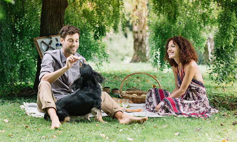 Picnic en Valencia. Los mejores lugares.