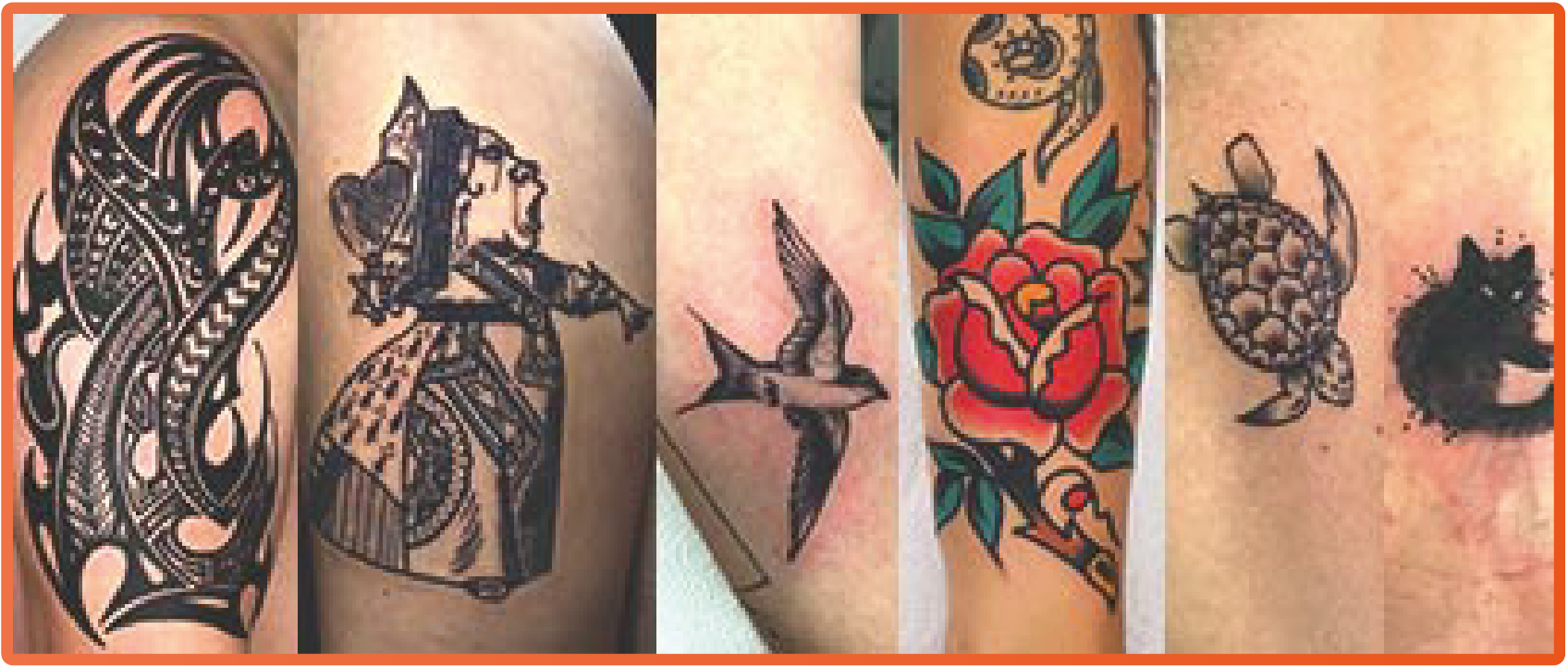 Carné del estudiante 3